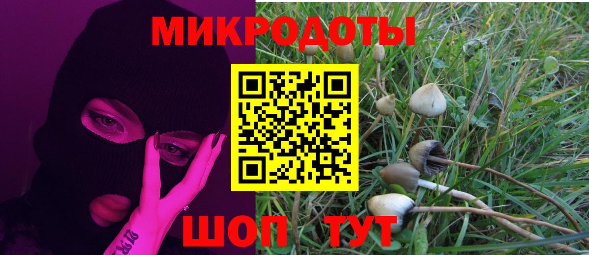 Королёв  Галлюциногенные грибы мухоморы  Псилоцибиновые грибы мухоморы  Вход с VPN 
