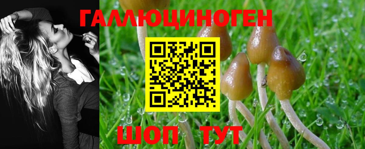 Псилоцибиновые грибы ЛСД Королёв